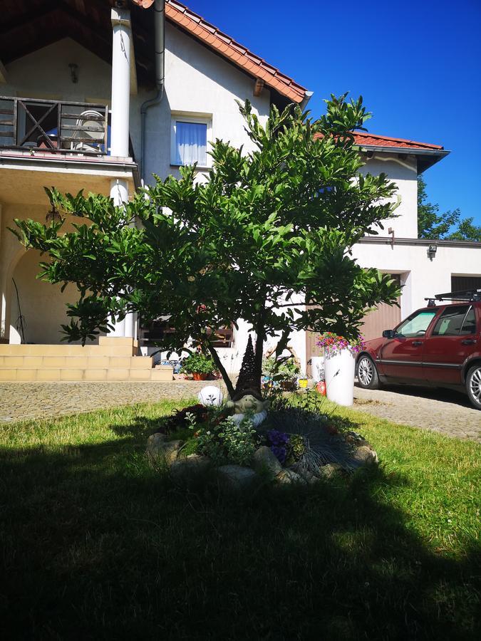 Apartament Casa Del Fasa Polanica-Zdrój Zewnętrze zdjęcie